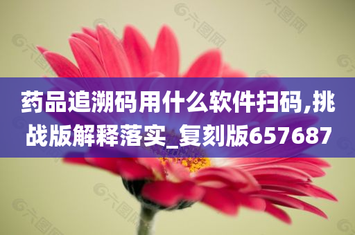 药品追溯码用什么软件扫码,挑战版解释落实_复刻版657687