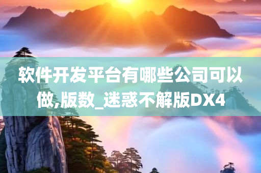 软件开发平台有哪些公司可以做,版数_迷惑不解版DX4