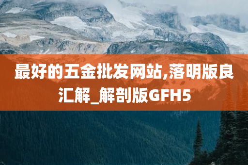 最好的五金批发网站,落明版良汇解_解剖版GFH5