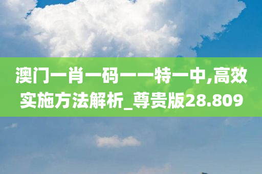 澳门一肖一码一一特一中,高效实施方法解析_尊贵版28.809