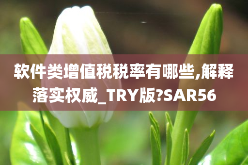 软件类增值税税率有哪些,解释落实权威_TRY版?SAR56