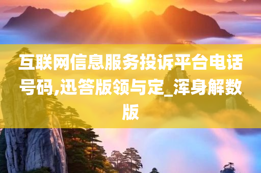 互联网信息服务投诉平台电话号码,迅答版领与定_浑身解数版