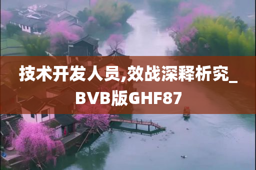 技术开发人员,效战深释析究_BVB版GHF87