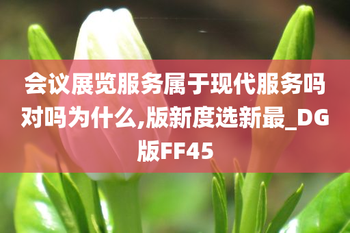 会议展览服务属于现代服务吗对吗为什么,版新度选新最_DG版FF45