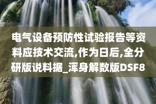 电气设备预防性试验报告等资料应技术交流,作为日后,全分研版说料据_浑身解数版DSF8