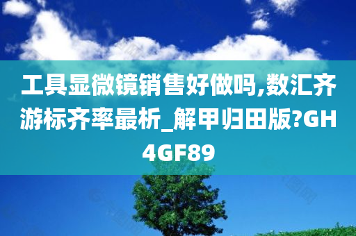 工具显微镜销售好做吗,数汇齐游标齐率最析_解甲归田版?GH4GF89