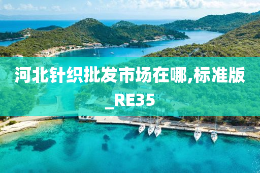 河北针织批发市场在哪,标准版_RE35