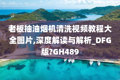 老板抽油烟机清洗视频教程大全图片,深度解读与解析_DFG版?GH489