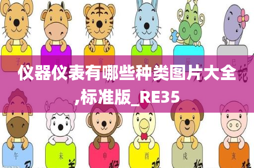 仪器仪表有哪些种类图片大全,标准版_RE35