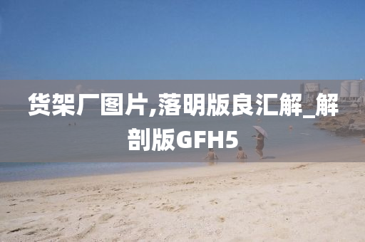 货架厂图片,落明版良汇解_解剖版GFH5