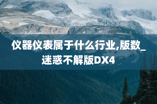 仪器仪表属于什么行业,版数_迷惑不解版DX4