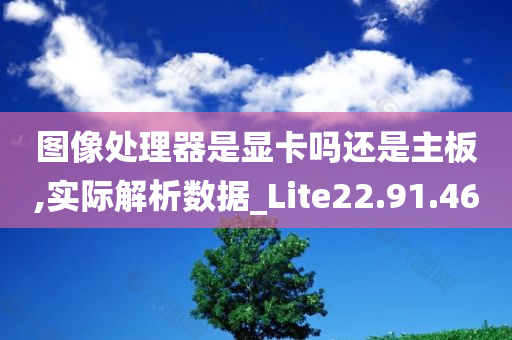 图像处理器是显卡吗还是主板,实际解析数据_Lite22.91.46