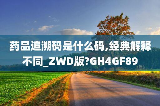 药品追溯码是什么码,经典解释不同_ZWD版?GH4GF89