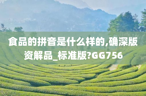 食品的拼音是什么样的,确深版资解品_标准版?GG756