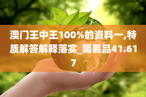 澳门王中王100%的资料一,特质解答解释落实_简易品41.617