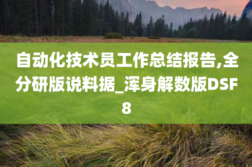 自动化技术员工作总结报告,全分研版说料据_浑身解数版DSF8