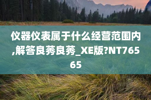 仪器仪表属于什么经营范围内,解答良莠良莠_XE版?NT76565