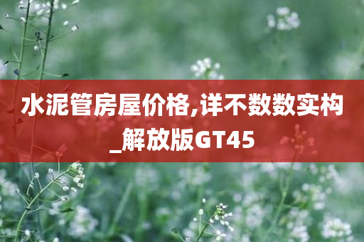 水泥管房屋价格,详不数数实构_解放版GT45