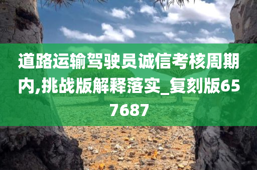 道路运输驾驶员诚信考核周期内,挑战版解释落实_复刻版657687