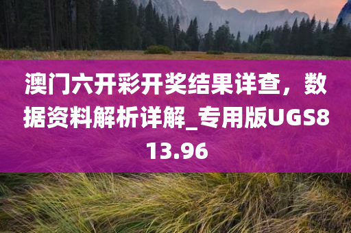 澳门六开彩开奖结果详查，数据资料解析详解_专用版UGS813.96