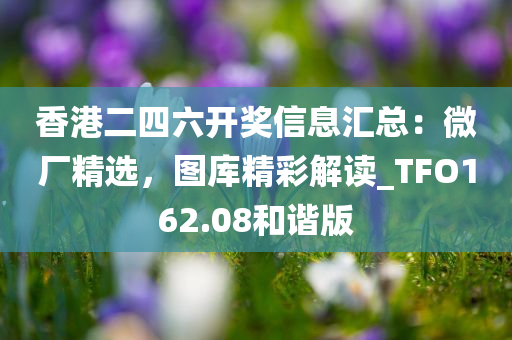 香港二四六开奖信息汇总：微厂精选，图库精彩解读_TFO162.08和谐版