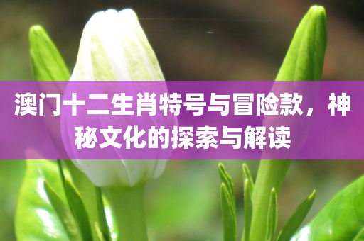 澳门十二生肖特号与冒险款，神秘文化的探索与解读