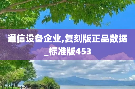 通信设备企业,复刻版正品数据_标准版453