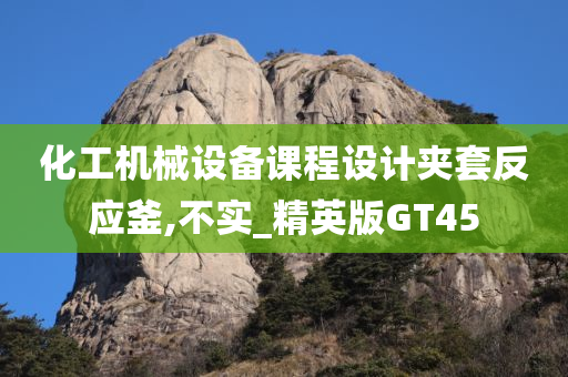 化工机械设备课程设计夹套反应釜,不实_精英版GT45