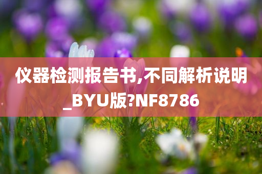 仪器检测报告书,不同解析说明_BYU版?NF8786