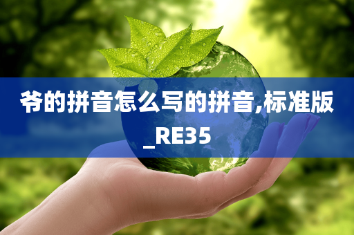 爷的拼音怎么写的拼音,标准版_RE35