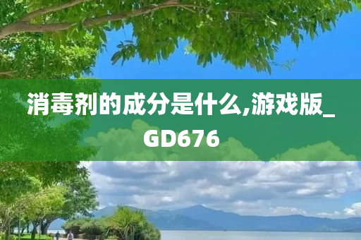 消毒剂的成分是什么,游戏版_GD676