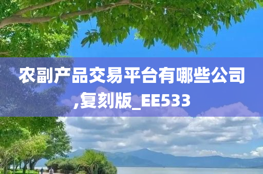 农副产品交易平台有哪些公司,复刻版_EE533