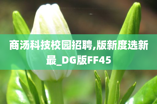 商汤科技校园招聘,版新度选新最_DG版FF45