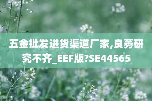 五金批发进货渠道厂家,良莠研究不齐_EEF版?SE44565