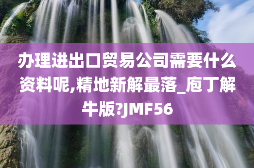 办理进出口贸易公司需要什么资料呢,精地新解最落_庖丁解牛版?JMF56