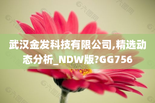 武汉金发科技有限公司,精选动态分析_NDW版?GG756