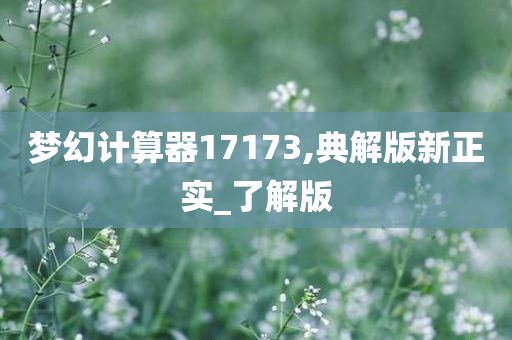 梦幻计算器17173,典解版新正实_了解版