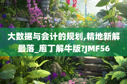 大数据与会计的规划,精地新解最落_庖丁解牛版?JMF56