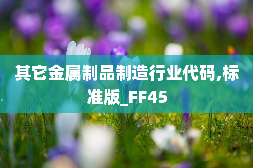 其它金属制品制造行业代码,标准版_FF45