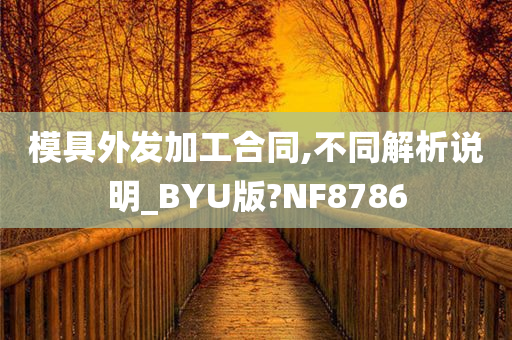 模具外发加工合同,不同解析说明_BYU版?NF8786