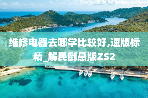 维修电器去哪学比较好,速版标精_解民倒悬版ZS2