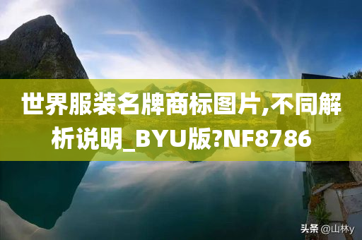 世界服装名牌商标图片,不同解析说明_BYU版?NF8786