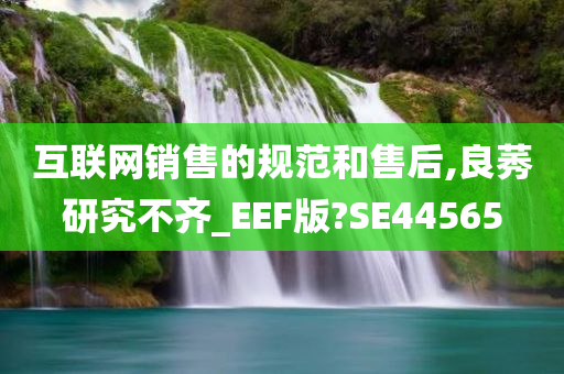 互联网销售的规范和售后,良莠研究不齐_EEF版?SE44565