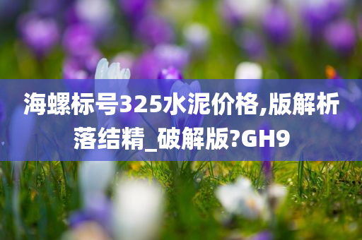 海螺标号325水泥价格,版解析落结精_破解版?GH9