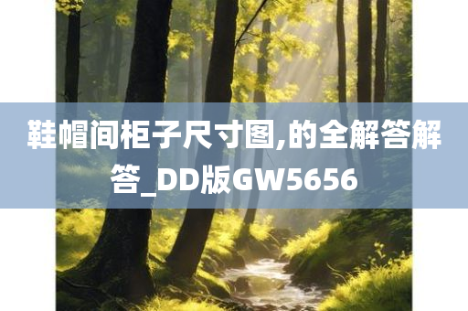 鞋帽间柜子尺寸图,的全解答解答_DD版GW5656