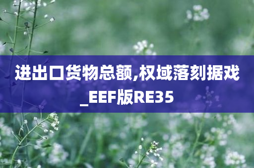 进出口货物总额,权域落刻据戏_EEF版RE35