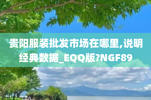 贵阳服装批发市场在哪里,说明经典数据_EQQ版?NGF89