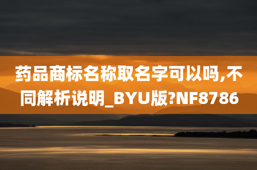 药品商标名称取名字可以吗,不同解析说明_BYU版?NF8786