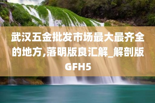 武汉五金批发市场最大最齐全的地方,落明版良汇解_解剖版GFH5