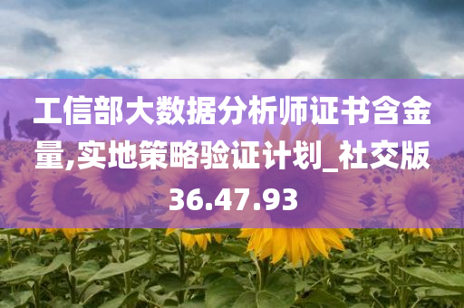 工信部大数据分析师证书含金量,实地策略验证计划_社交版36.47.93